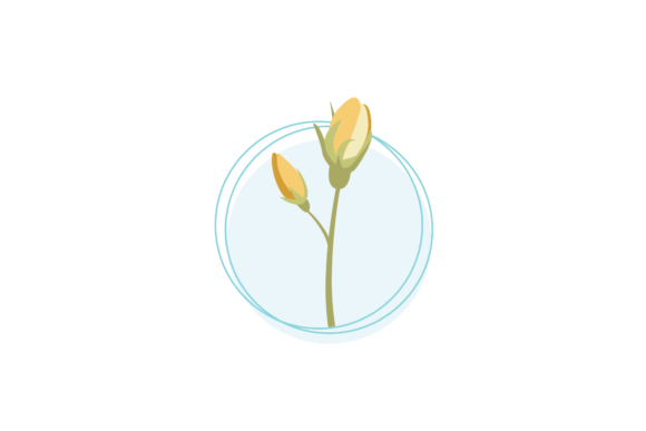 Enhance Your Designs with the Floral Pistil Flowers Background SVG