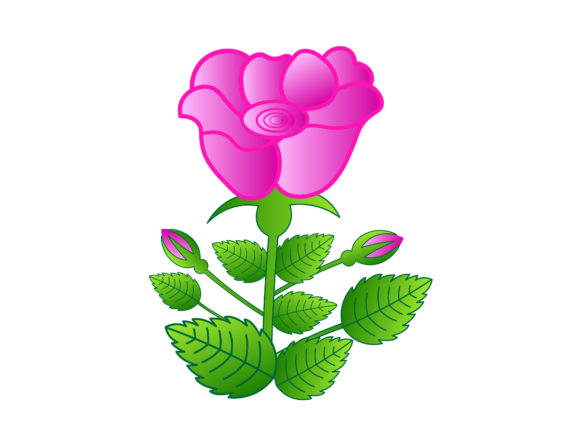 Rose with Leaf Floral Vector Illustration
